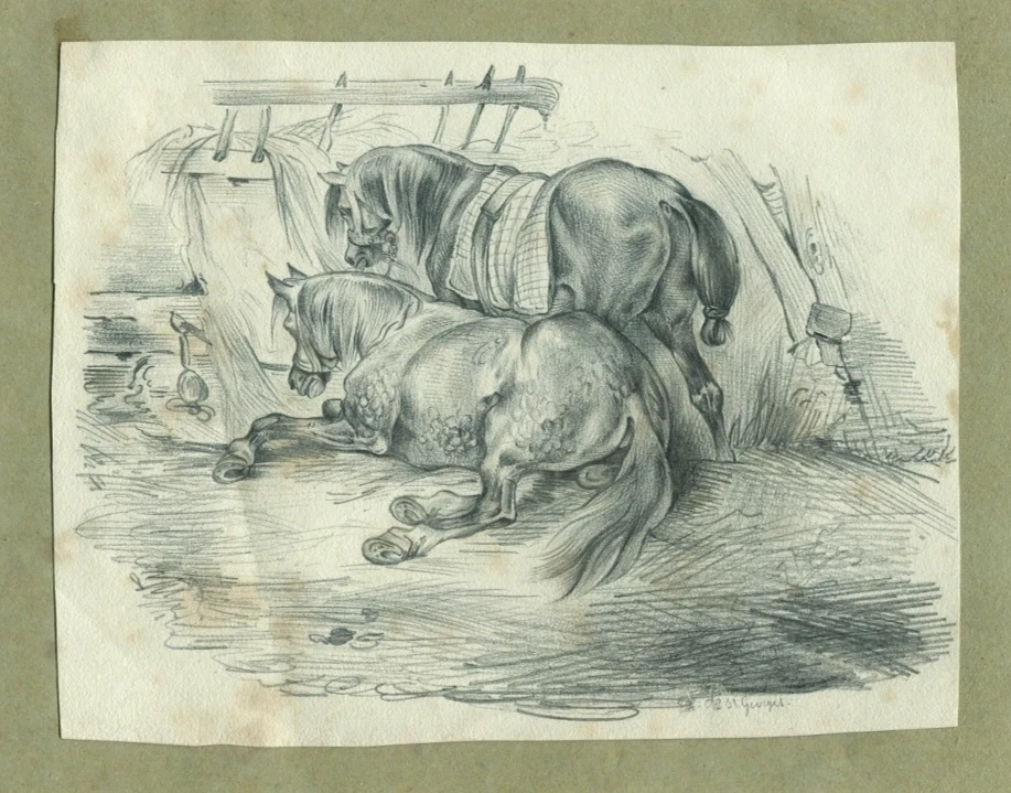 Deux chevaux à l'écurie -  Signé Ch. de Saint Georges - Dessin original ancien - Photo 1/1