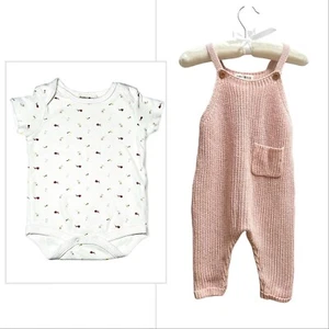 Rabbit Bear Baby Pink 2 Piece Sweater Knit Overalls Pants Top Set 6-9M - Picture 1 of 3