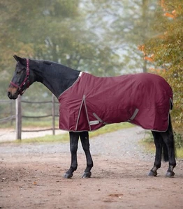 Pferde Outdoordecke Weidedecke Paddockdecke Regen 100g Füllung Waldhausen 145cm - Bild 1 von 2