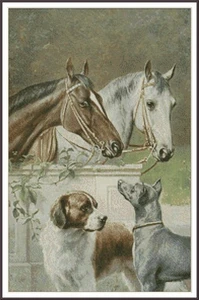 Caballos y perros 1448 gráfico contado punto de cruz patrón costura - Imagen 1 de 5