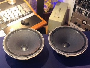 best vintage electro voice speakers