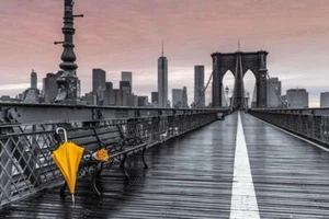 Assaf Frank : Brooklyn Bridge Umbrella - Maxi Poster 91.5cm x 61m new and sealed - Picture 1 of 1