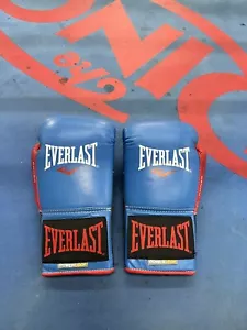 Everlast Powerlock Pro Fight Gloves 8oz (Great For Kids) - Picture 1 of 3
