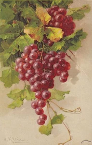 Catharina Klein Postcard 1922 Red Grapes Artist 2507043 - Picture 1 of 2