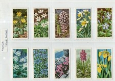 BROOKE BOND-BLACK BACK REPRINT FULL SET 50 CARDS WILD FLOWERS SERIES 2 EX COND