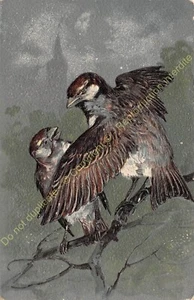 CPA FANTAISIE GAUFREE OISEAUX - Picture 1 of 2