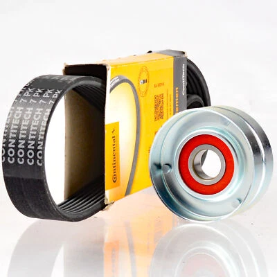 CONTINENTAL CTAM 7PK1125 Keilrippenriemen + Rolle für RENAULT GRAND SCENIC II - Bild 1 von 4