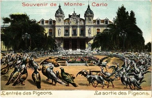 PC MONACO SOUVENIR DE MONTE-CARLO - L'ENTRÉE DES PIGEONS (a75754) - Bild 1 von 2