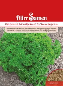 Petersilie Mooskrause 2 Samen von Dürr Samen Petersiliensamen ca 2000 Korn - Bild 1 von 1