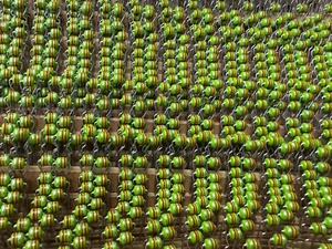 7G 100-pcs Taiyo Yuden LAV35VBR22M Fixed Ferrite Inductor 0.22uH 20% 1 Element - Imagen 1 de 2