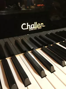 FANTASTISCHER CHALLEN Flügel Stutzflügel Grand Piano Konzertflügel Salonflügel - Bild 1 von 10