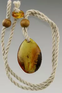 Genuine BALTIC AMBER Fossil INSECT Pendant on Linen String 8.8g 181025-10 - Picture 1 of 5
