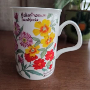 Roy Kirkham 'Garden Flowers' Becher | Fine Bone China Small Chip - Bild 1 von 10