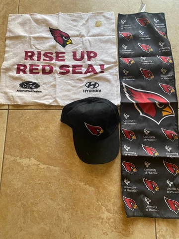 Arizona Cardinals NFL Adjustable Hat Cap Black and Towel and Scarf Cover