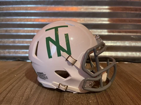 Custom North Texas Mean Green (NT) Speed Mini Helmet Cover