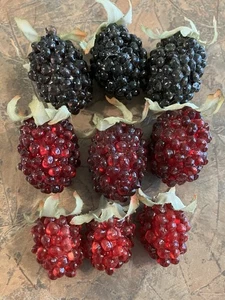 Menge 9 Stück Kunsthimbeeren Brombeeren Künstliche Kunstbeeren mit Stielen - Bild 1 von 7