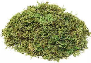 Fake Moss Artificial Moss for Potted Plants Greenery Moss(4Oz) Home Decor Fairy - Picture 1 of 12