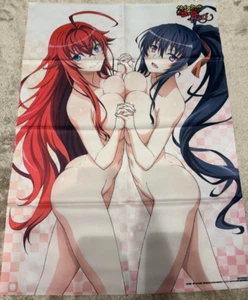 Japanese anime High School DxD cloth poster sofmap benefit - Picture 1 of 1