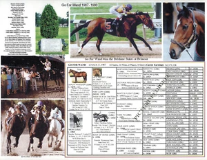 Horse Racing Filly Go for Wand picture pedigree 11 X 8.5 history colectible - Picture 1 of 1