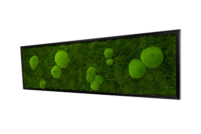 Wandbilder Forest Design Moosbild kaufen Wand Moos Bilder Oster Dekoration - Bild 1 von 4