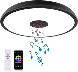 Black Smart Waterproof LED Ceiling Light Fixture,18W,With Bluetooth Speaker,Rgb  - Picture 1 of 12