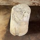 Ice Age Fossil For Knife Making Material Or Display 7.5” X 5” 5 lb 11 oz Piece