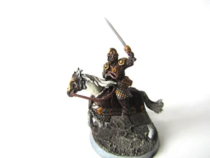 A47  WARHAMMER  LOTR / MIDDLE EARTH - PAINTED THEODEN KING OF ROHAN - Picture 1 of 4