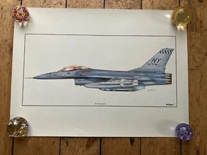 F 16 FIGHTING FALCON - BOSSbirds - Artist: David Wilson - Unframed 25x18inches - Picture 1 of 9