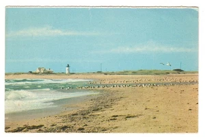 Cape Cod MA Race Point Light Postcard - Picture 1 of 2