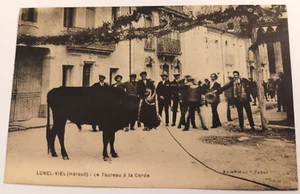 cpa lunel viel herault le taureau a la corde - Foto 1 di 2