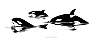 Sea Fauna - Orca Pack #7 - Outdoor Window Die Cut Decal Vinyl Sticker 6Yrs Film - Picture 1 of 20