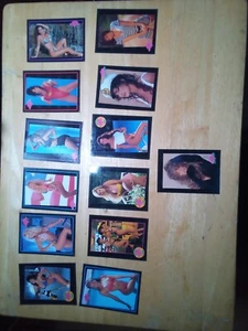 1994 94 BENCHWARMER SERIES SET PLAYBOY MODELS & MORE!!! - Picture 1 of 4
