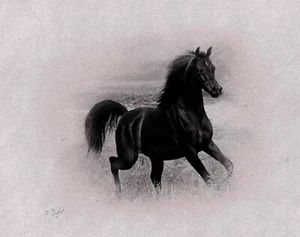 Cavallo al galoppo disegno originale di Darren Baker a carboncino. - Foto 1 di 4