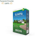 Bottos - Olimpia / 1 KG - Seeds for Lawn 8032615940206