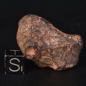 Météorite ferreuse Mundrabilla de 54,65 g Sidérite Type IIAB Australie - Imagen 1 de 12