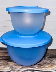 Tupperware Impressions Cuencos #3095 #3621 Mezcla Almacenamiento de Alimentos NUEVO Azul Juego de 2 - Imagen 1 de 3