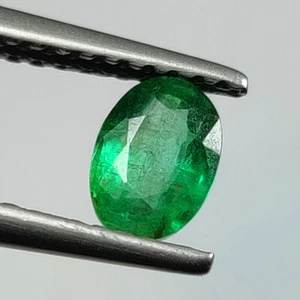 0.51 CT - Natural Emerald Oval Shape Fine Luster Green Gem Zambian -7363 - Picture 1 of 2