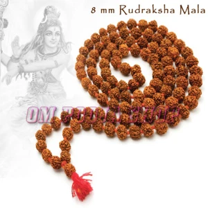 8 mm 5 Mukhi Original Nepal Rudraksha Mala Sagrado Meditación Hindú Collar de Cuentas - Imagen 1 de 2