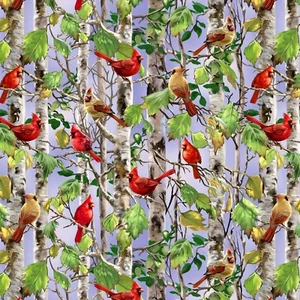 Cardinal On Birch Tree Timeless Treasures Spring Song by Dona Gelsing - Picture 1 of 3