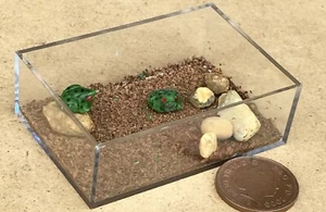 Casa De Muñecas 2 Ranas Verdes En Un Recinto Escala 1:12 Jardín Miniatura Tumdee - Imagen 1 de 7
