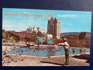 Postcard Lakeside Park, Oakland CA Waterfowl Sanctuary Lake Merritt Posted B117 - Picture 1 of 2