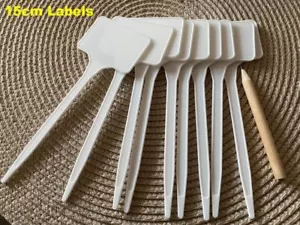 Plastic Plant Labels Garden Marker T Shape Tags 15cm White 1-900 Labels & Pencil - Picture 1 of 12