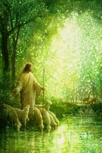 Yongsung Kim FEED MY SHEEP Canvas Jesus Watching Over His Sheep Drinking Water - Picture 1 of 1