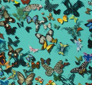 DESIGNERS GUILD/CHRISTIAN LACROIX FABRIC  BUTTERFLY PARADE LAGON FCL025/04 - Picture 1 of 1