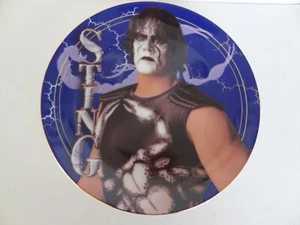 STING Collectors Plate _The Hamilton Collection-World Champion Wrestling Series - Picture 1 of 7
