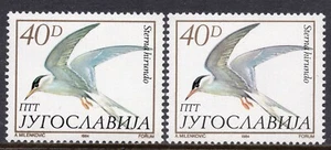 068 - YUGOSLAVIA 1984 - Birds - Different Color - MNH - Picture 1 of 2