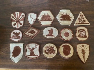 ARMY NATIONAL GUARD DESERT SUBDUED PATCH LOT - 55 DIFFERENT ... ALL MINT! - Picture 1 of 4
