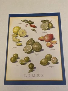 Cooks Illustrated Frameable Kitchen Art Back Cover Only  Limes Citrus - Picture 1 of 2