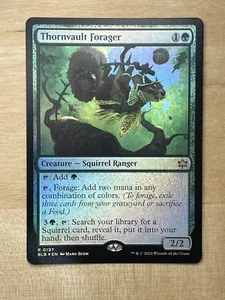 Thornvault Forager Foil Bloomburrow BLM MTG - Picture 1 of 1