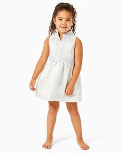 NEW Lilly Pulitzer GIRLS MINI FRANCI DRESS Seaside Grey Full Bloom Brocade 8 10 - Picture 1 of 10